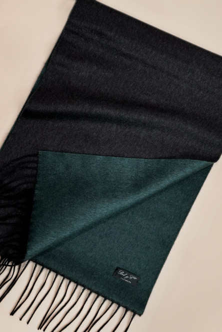 Cashmere & Silk scarf