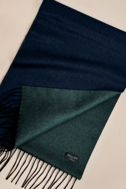 Cashmere & Silk scarf